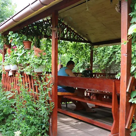 ゲストハウス Casa Ancuta *