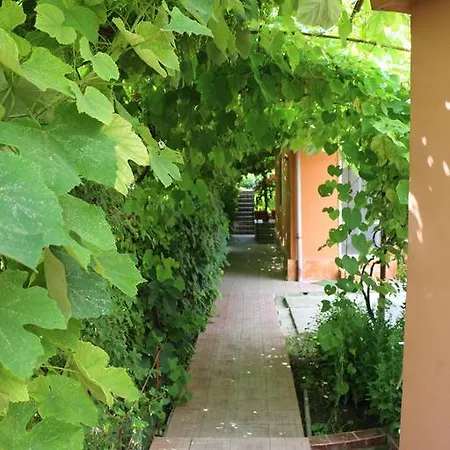 招待所 Casa Ancuta *