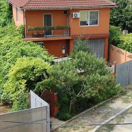 招待所 Casa Ancuta