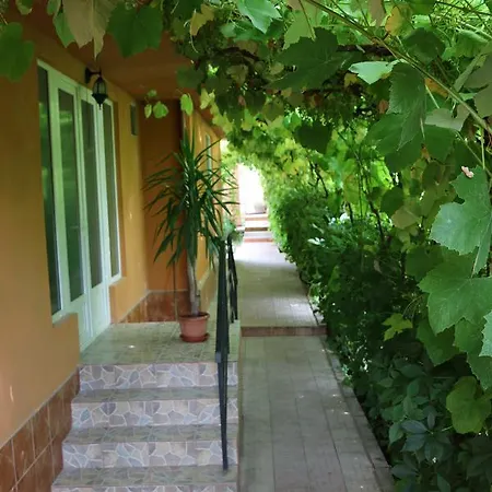 Casa Ancuta