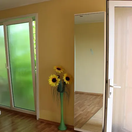 Casa Ancuta 招待所 *