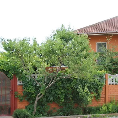 Casa Ancuta * 曼加利亚